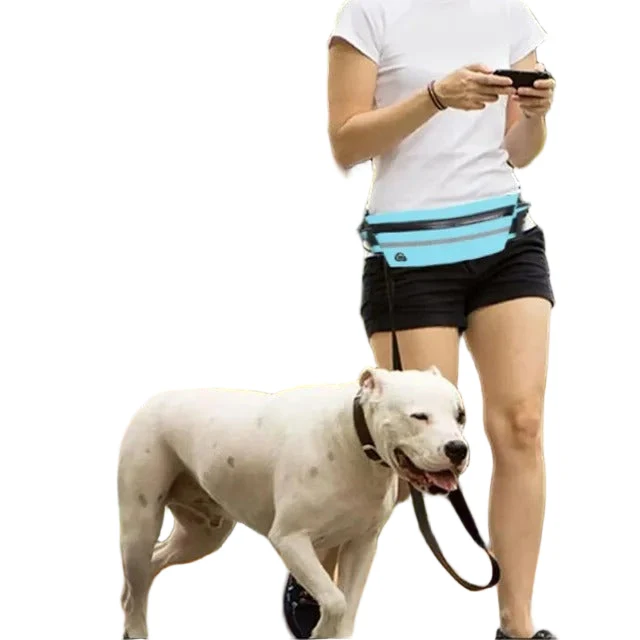 Handsfree Hundkoppel - Bild 2