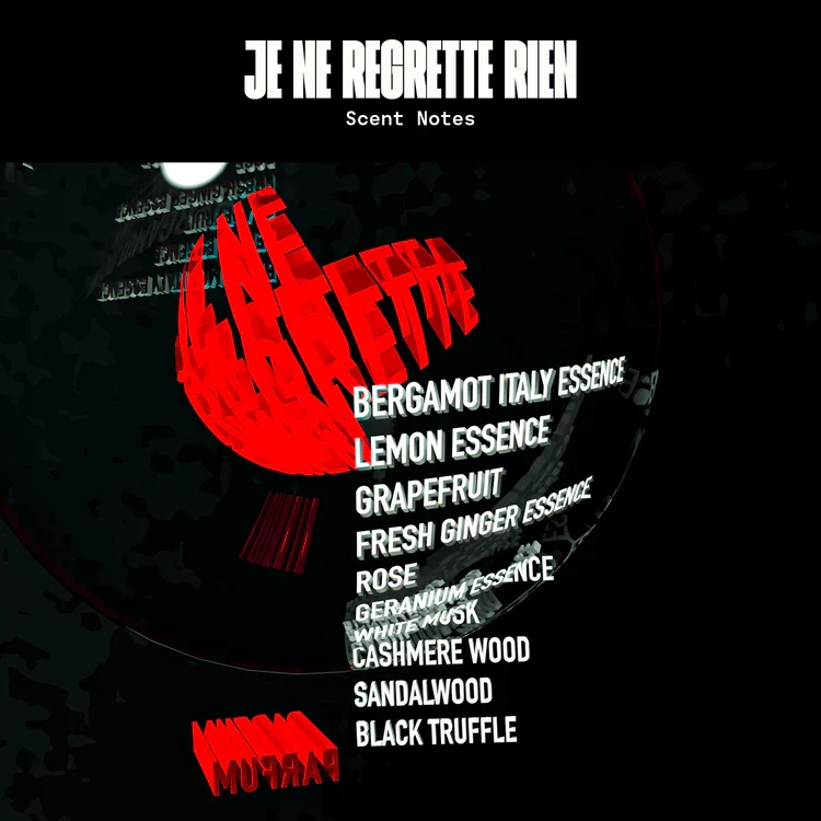 Je Ne Regrette Rien - Bild 4