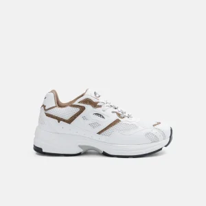 Rush - White & Brown - Palm