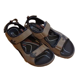 Ecco Offroad Nutmeg Brun Herr